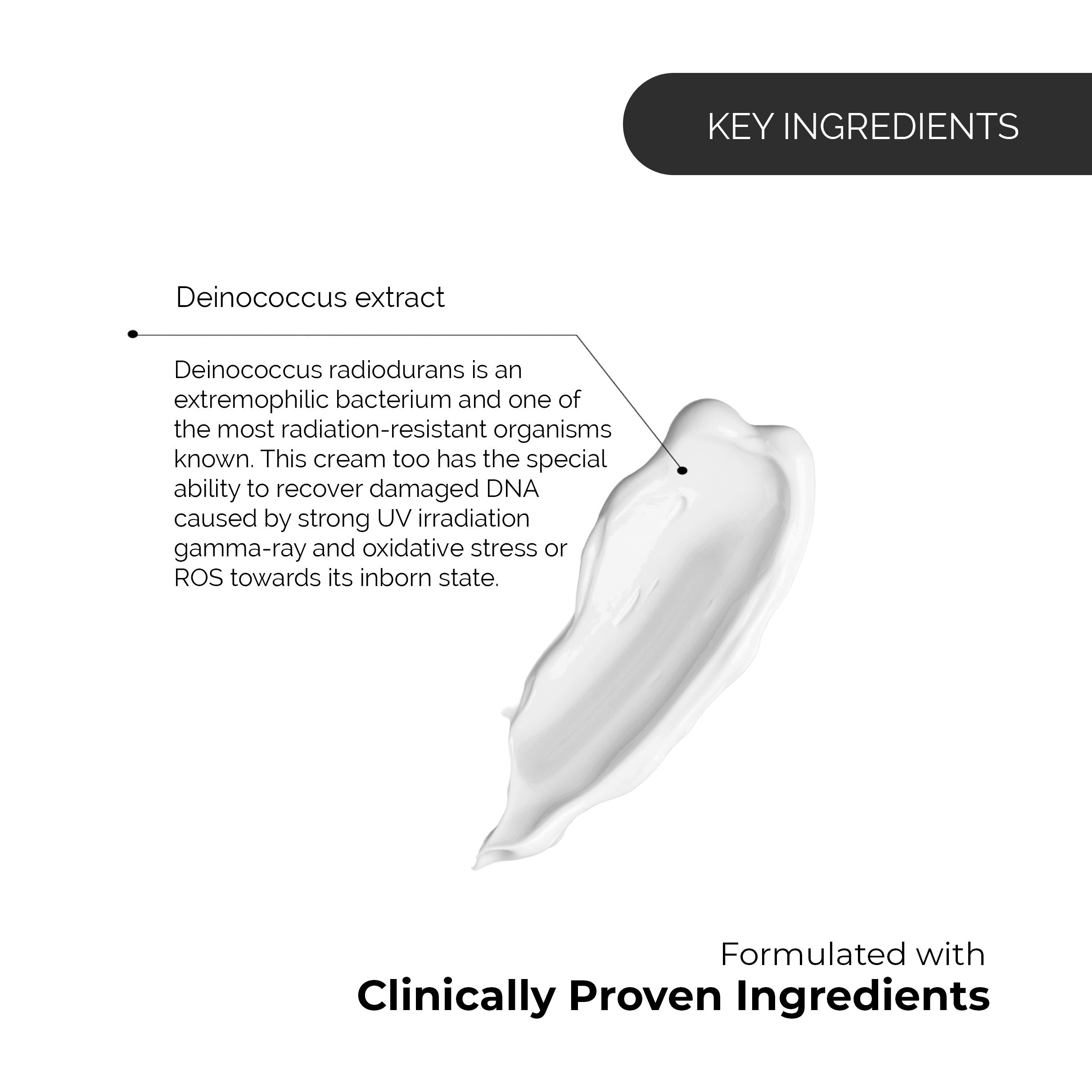 Signature Totale Deinococcus Cream